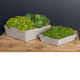 Campania Playa Low Tapered Square - Set of 8